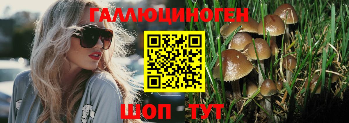 Галлюциногенные грибы прущие грибы  Псилоцибиновые грибы мицелий  Вход с VPN  Новокузнецк 